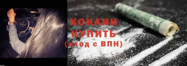 сатива Михайлов