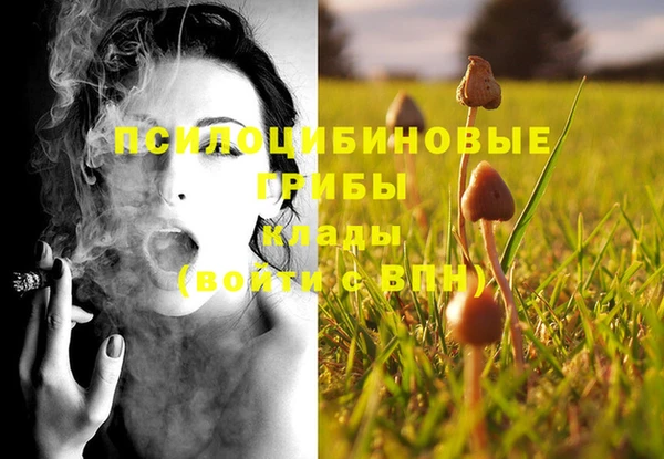 прущая мука Навашино