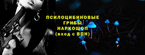 сатива Михайлов