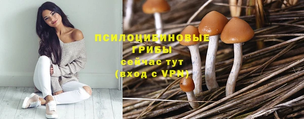 прущая мука Навашино
