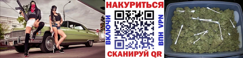 МАРИХУАНА конопля Таруса